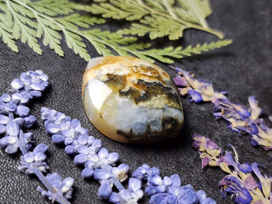 Graveyard point plume agate
