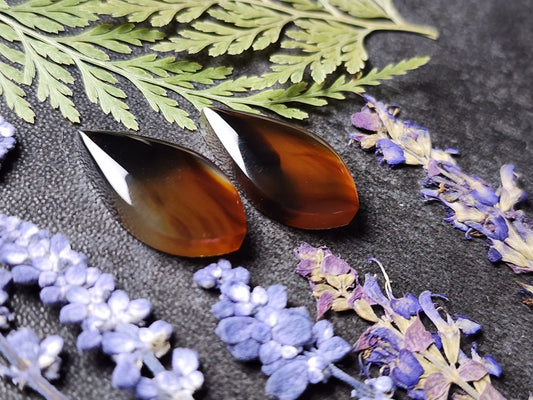 Montana agate pair