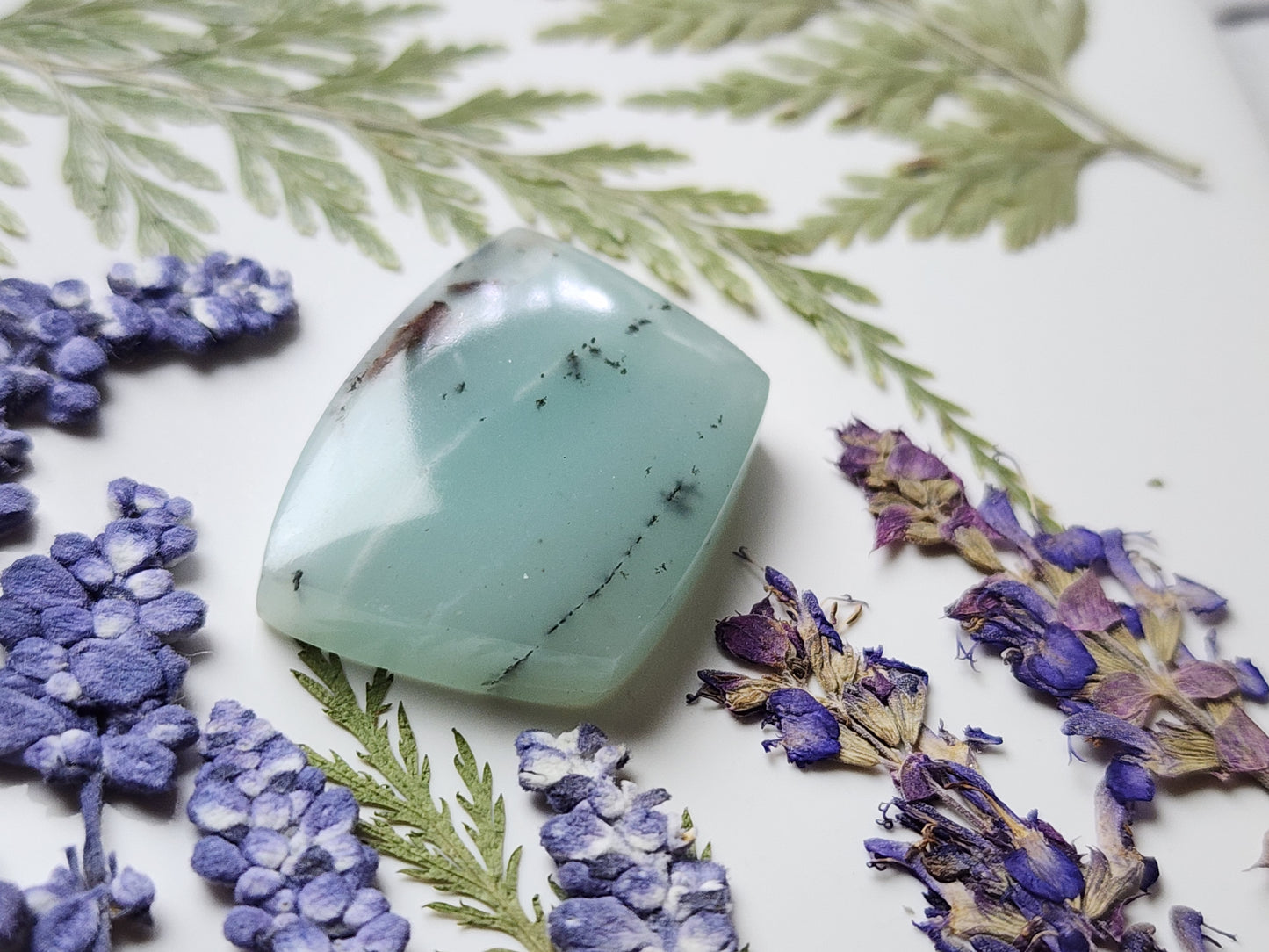 BC Ocean picture stone
