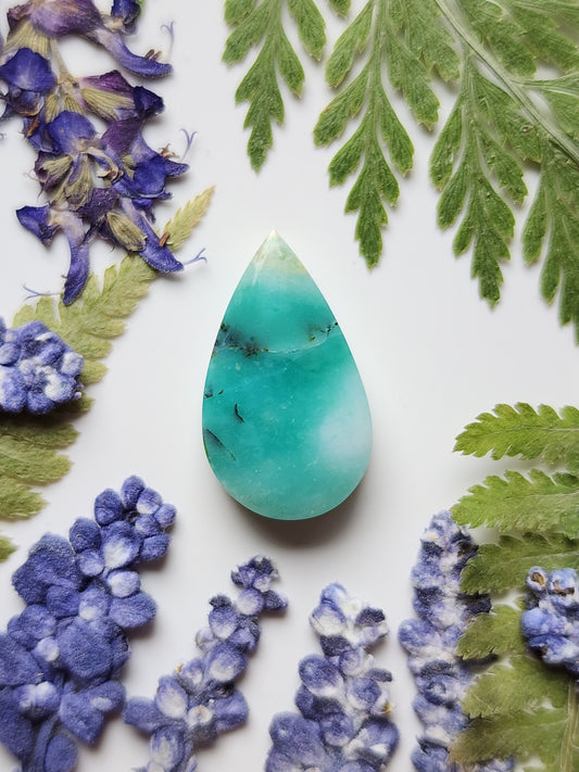 Petrified Blue opalized wood