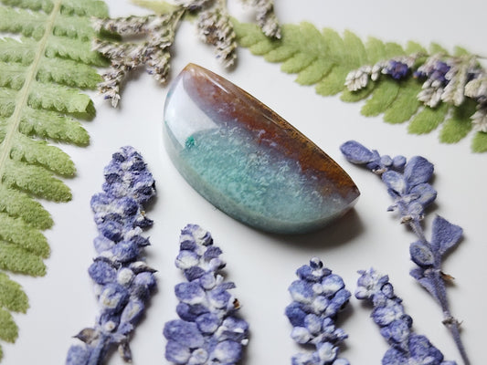 Petrified Blue opalized wood
