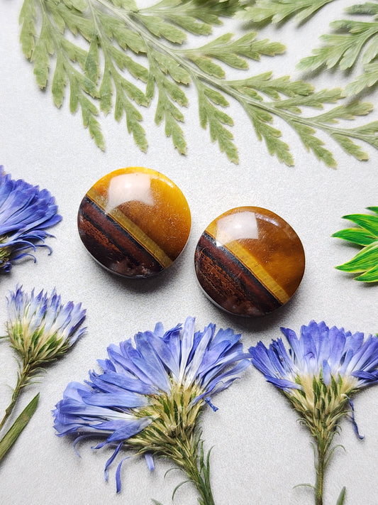 Tiger's eye pair