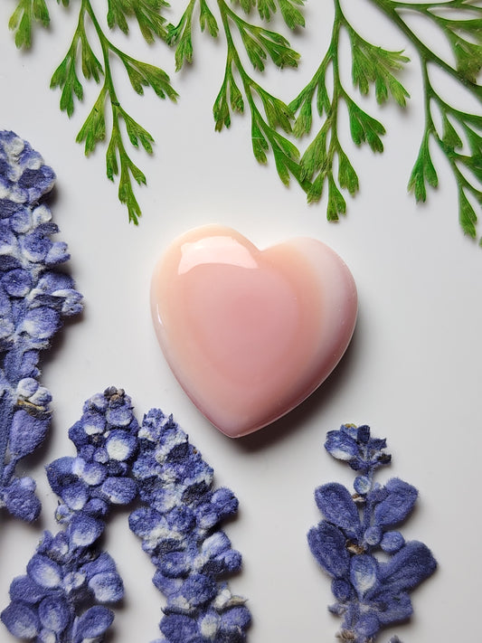 Pink Conch shell heart