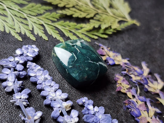 Hava Ridge jasper