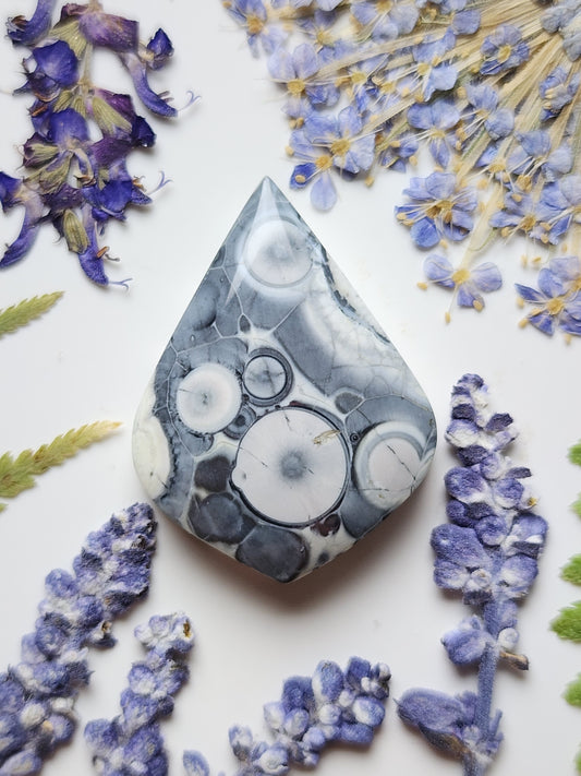 Galaxy Rhyolite