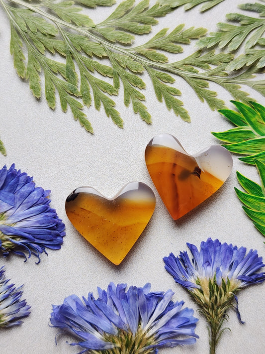 Montana agate heart pair