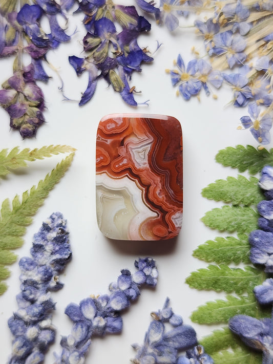 Laguna lace agate