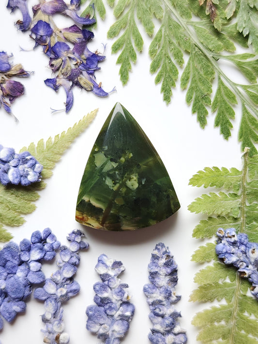 Morrisonite jasper