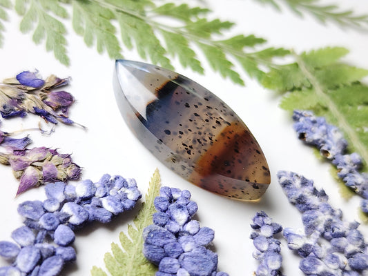 Montana agate