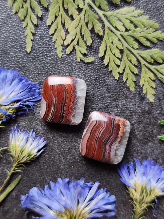 Laguna lace agate pair