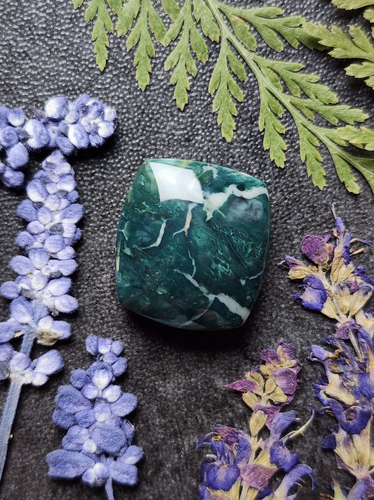 Hava Ridge jasper