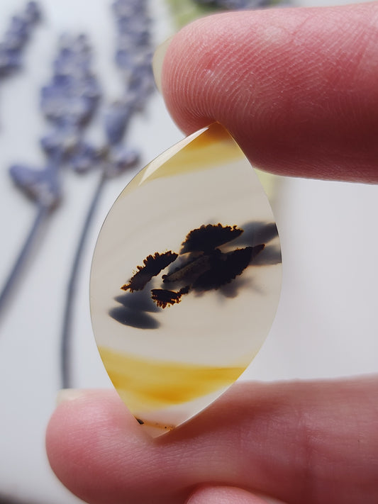 Montana agate