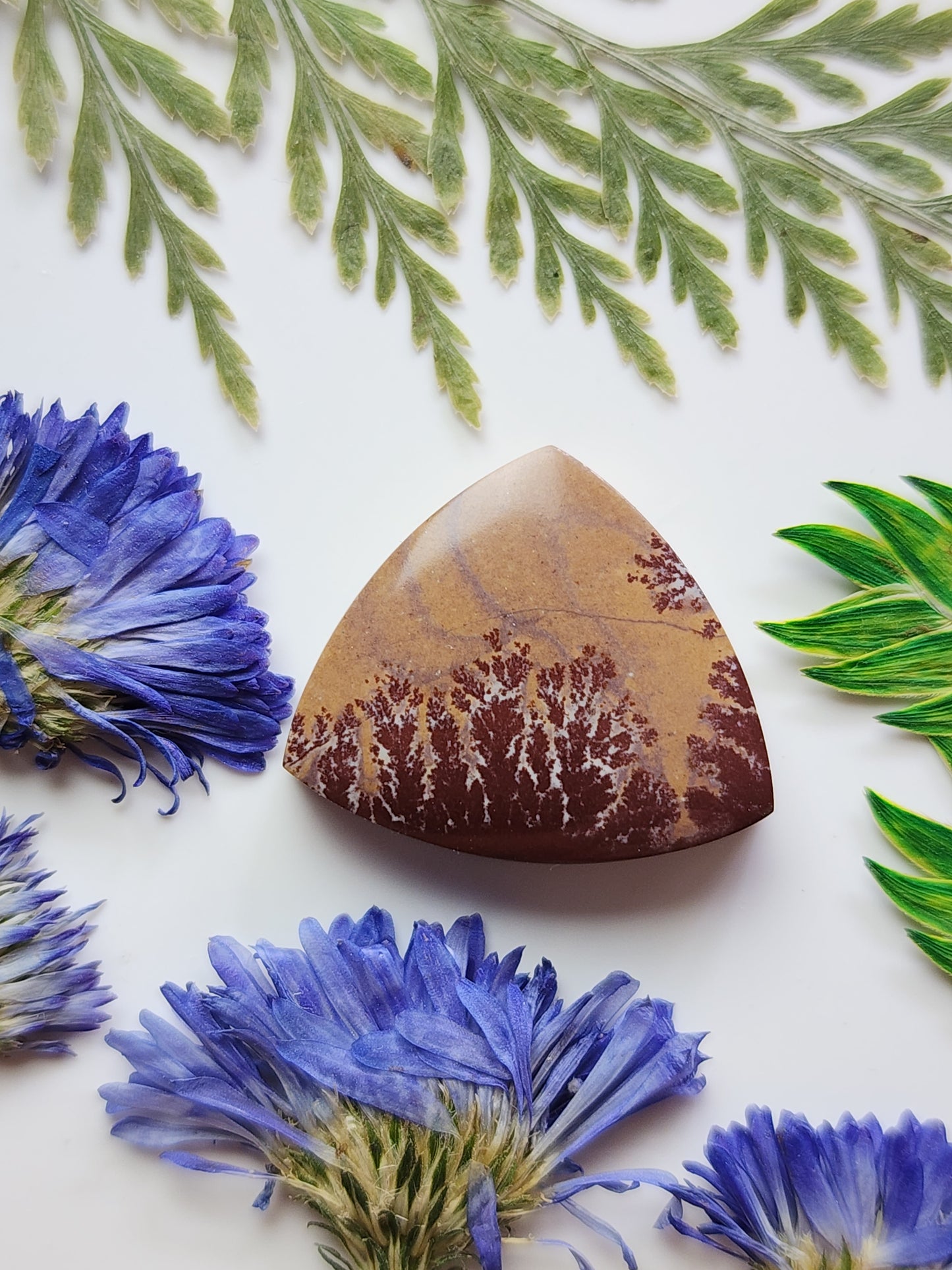 Sonoran Dendritic Rhyolite