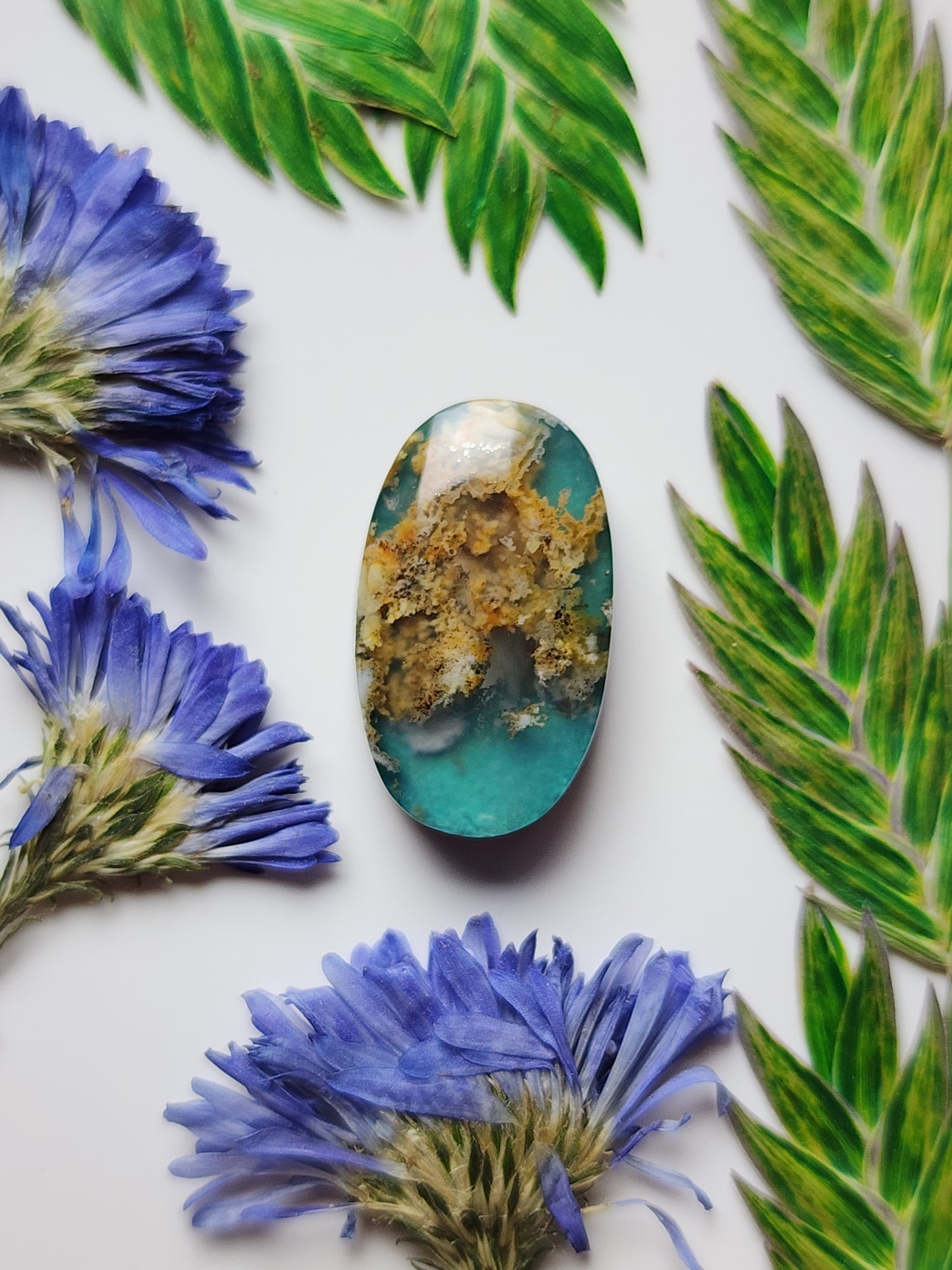 Bella Vista plume agate Doublet