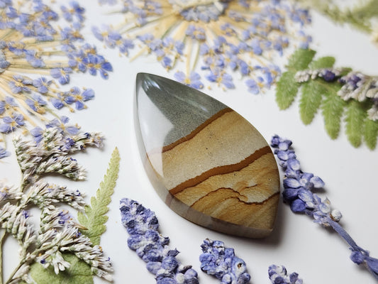 Cripple Creek picture jasper