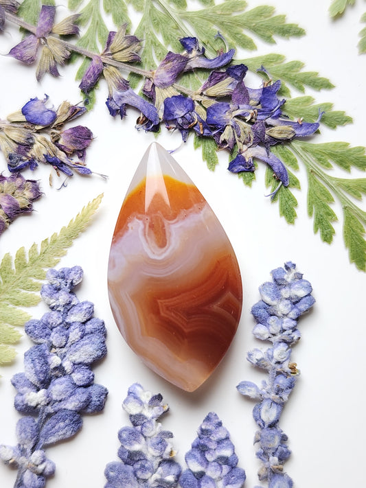 Agua Nueva agate