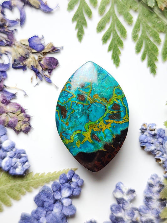 Shattuckite
