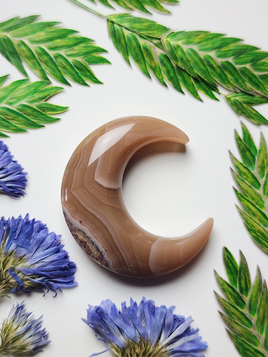 Agua Nueva agate crescent