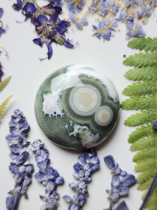 Ocean jasper