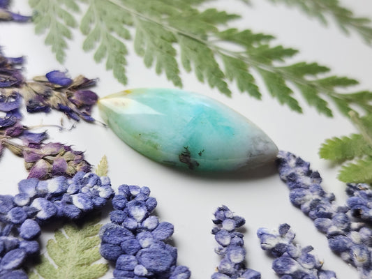 Petrified Blue opalized wood