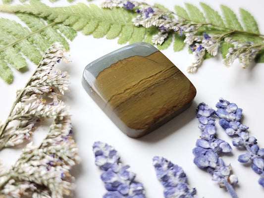 Spring Mountain picture jasper