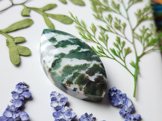 Green Zebra jasper