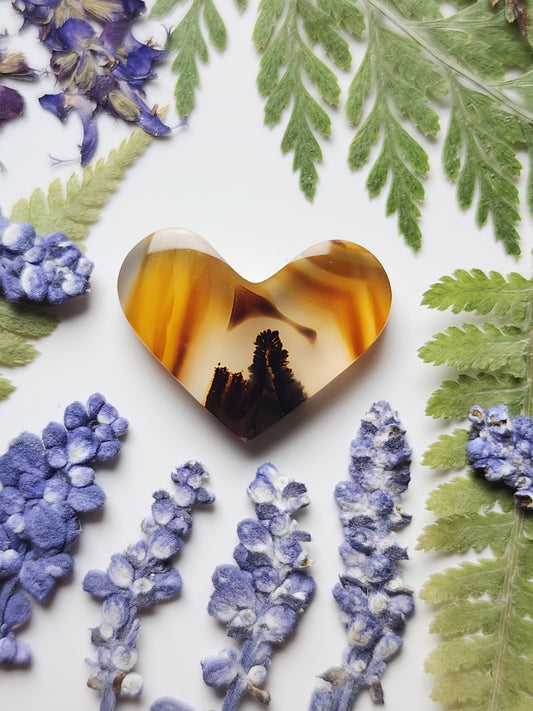 Montana agate heart