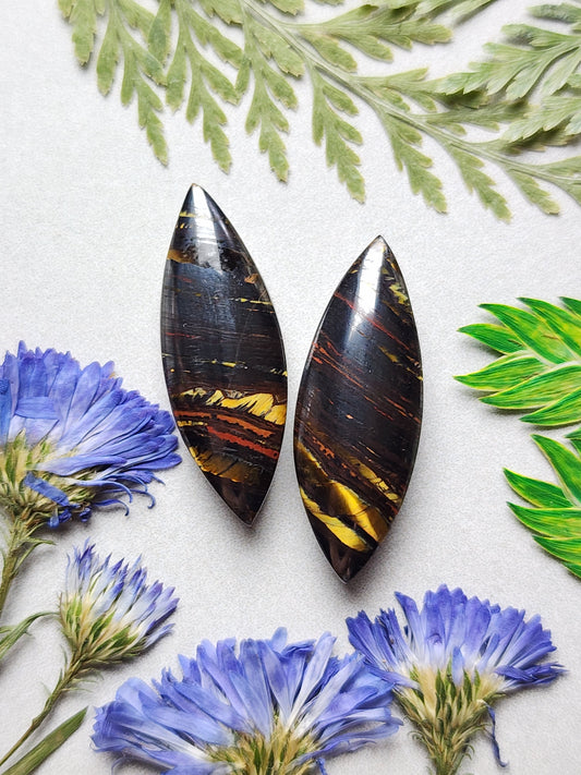 Tiger Iron pair
