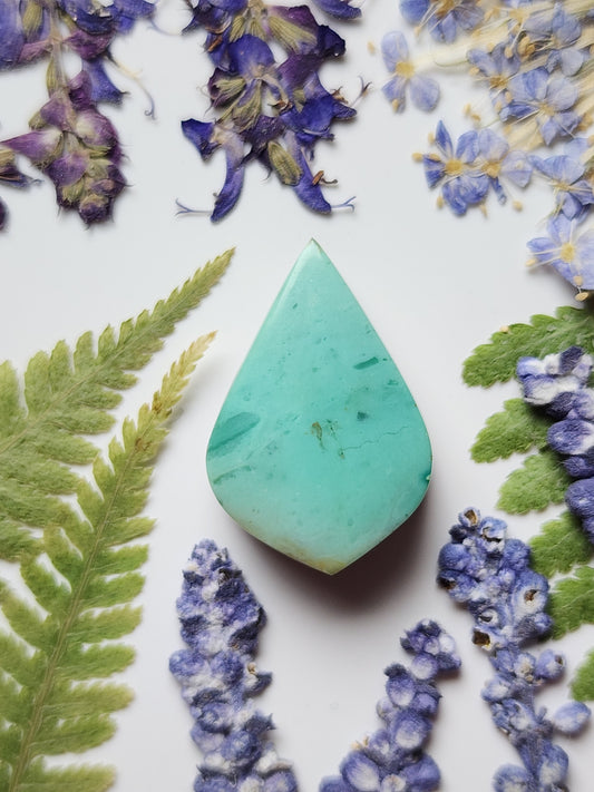 Petrified blue opalized wood