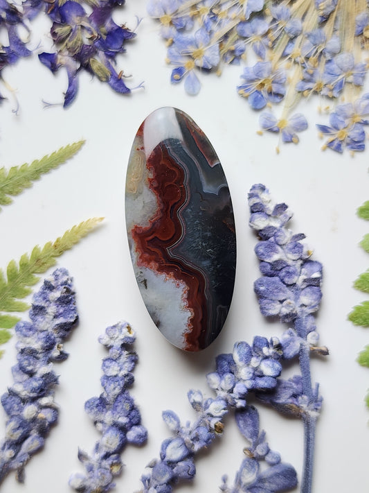 Crazy lace agate