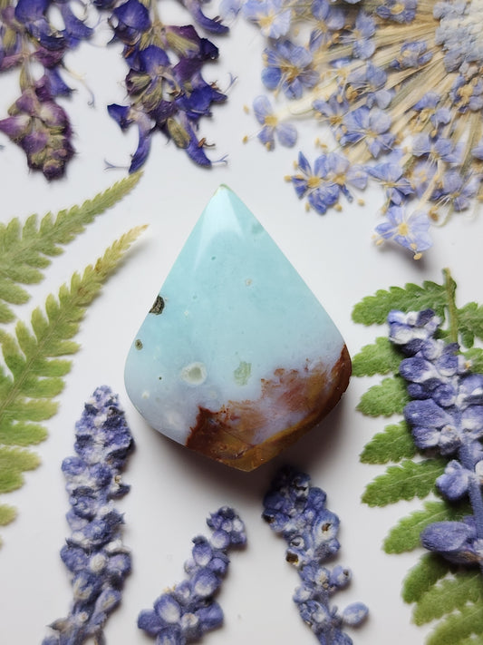 Petrified Blue opalized wood