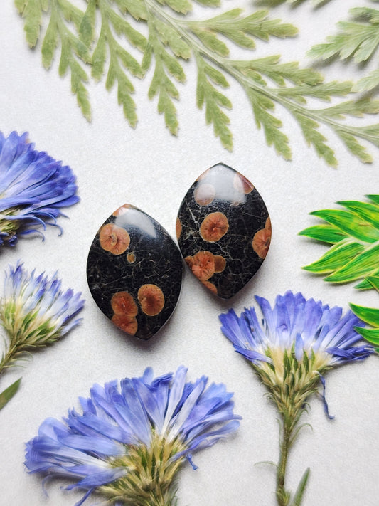 Peanut obsidian pair