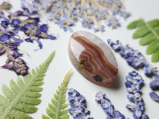 Agua Nueva agate