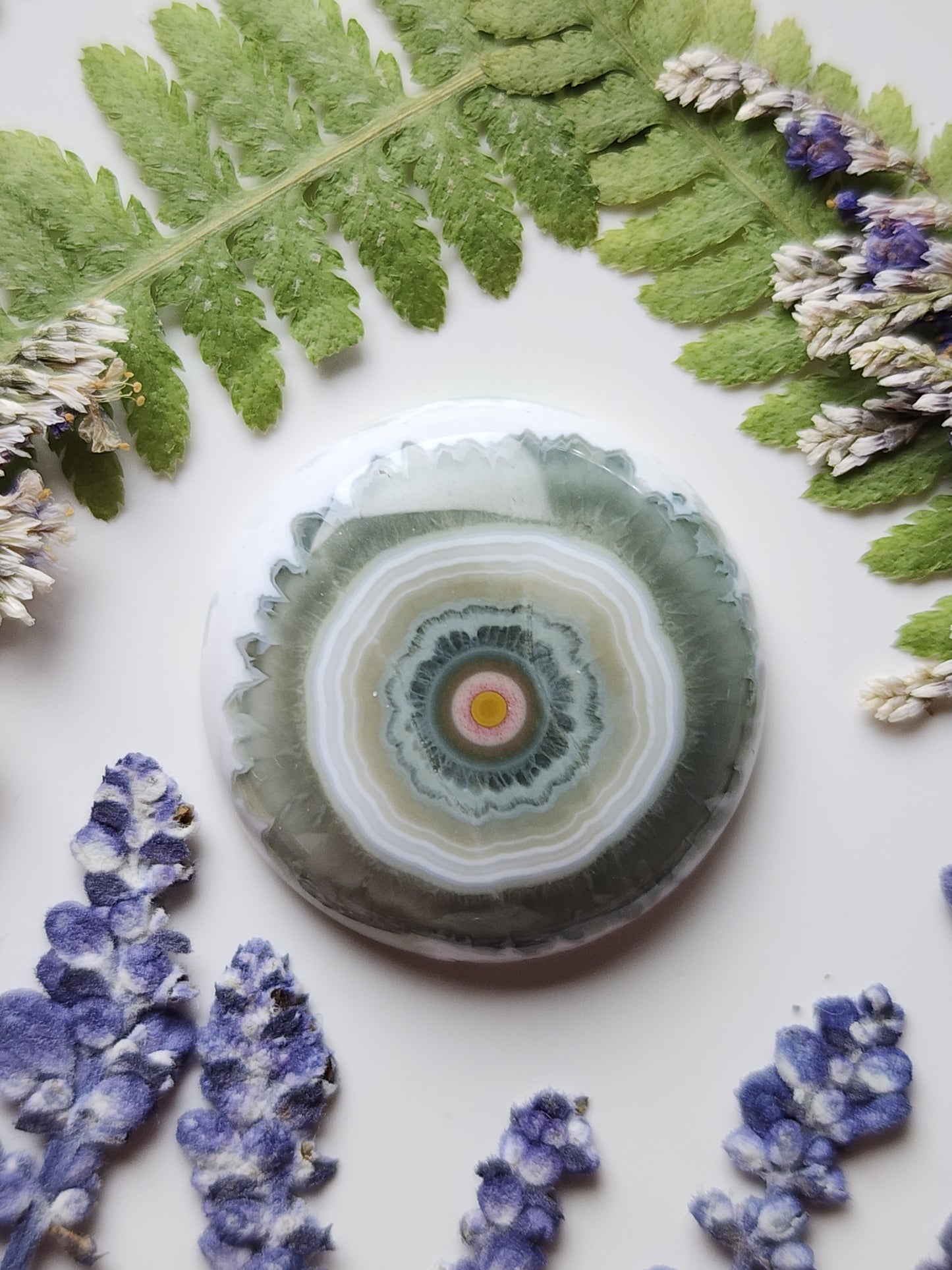 Ocean jasper