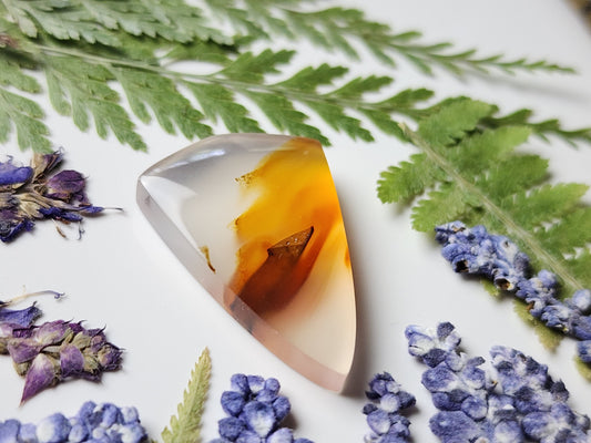 Montana agate