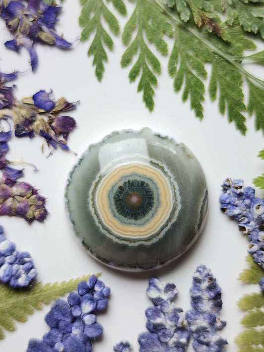 Ocean jasper