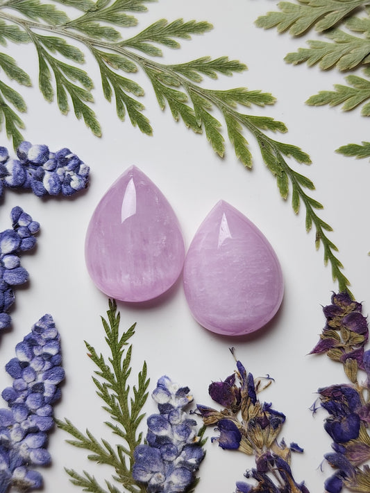 Lavender Kunzite pair