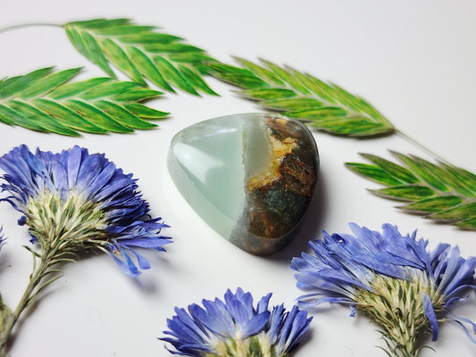 BC Ocean picture stone