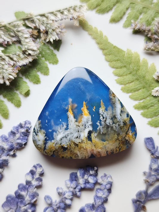 Bella Vista plume agate Doublet
