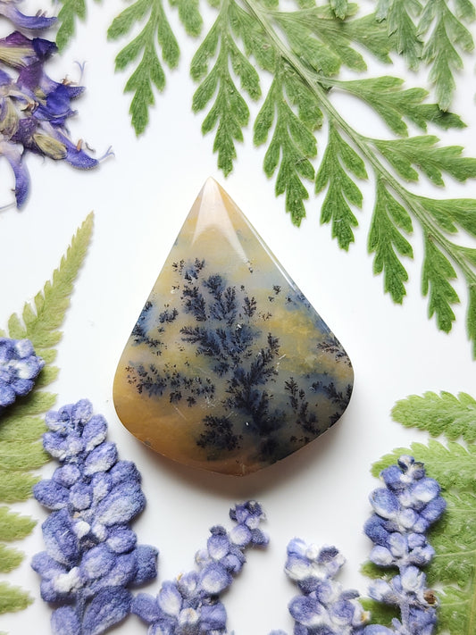 Dendritic agate