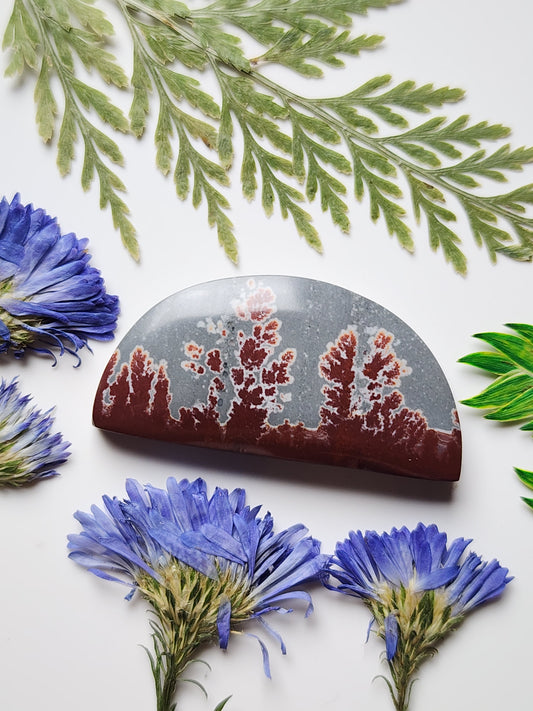 Sonoran Dendritic Rhyolite