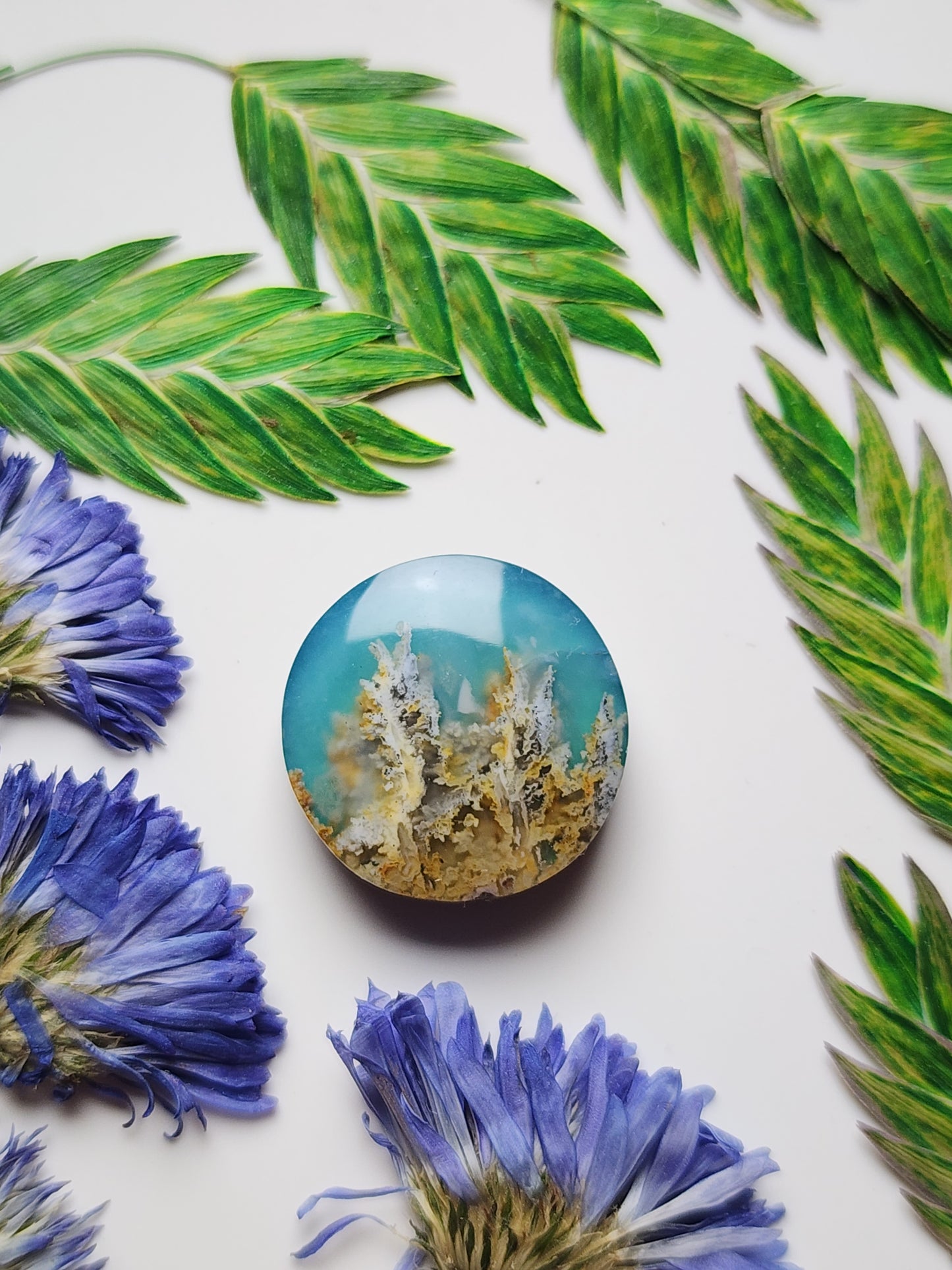 Bella Vista plume agate Doublet