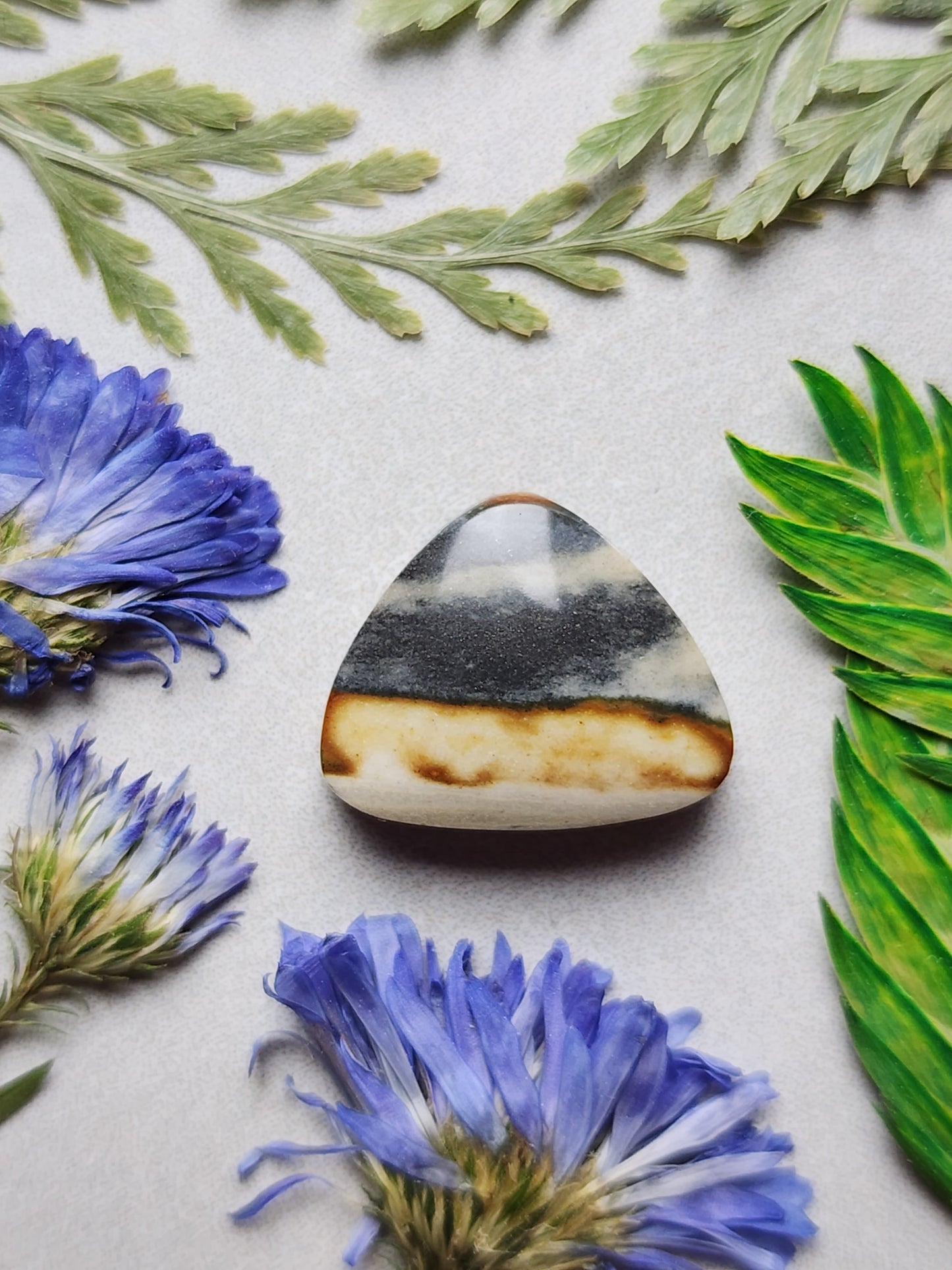 Starry night picture jasper