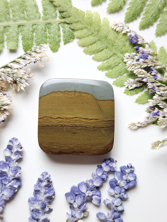 Spring Mountain picture jasper