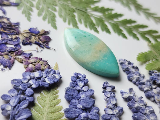 Petrified Blue opalized wood
