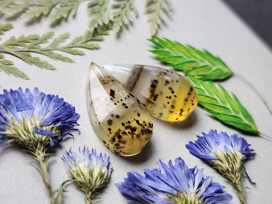 Montana agate pair