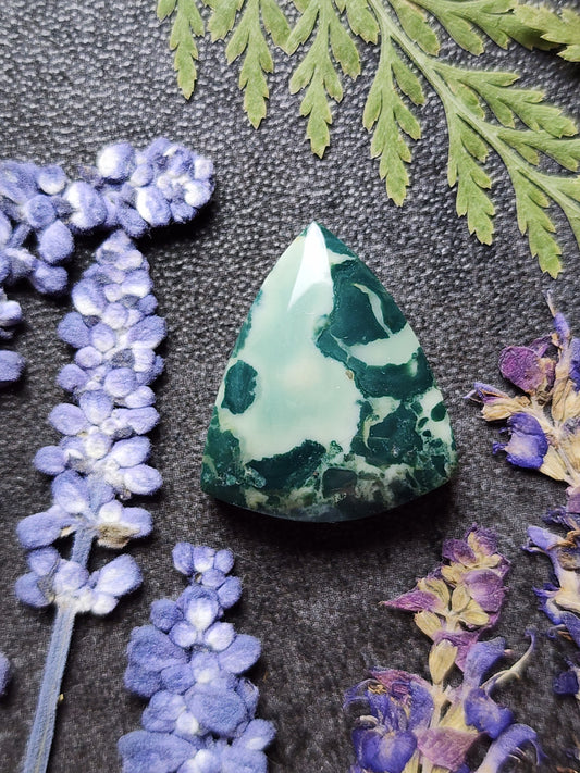 Hava Ridge jasper