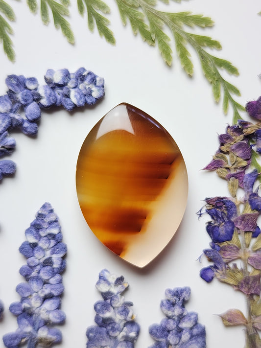 Montana agate
