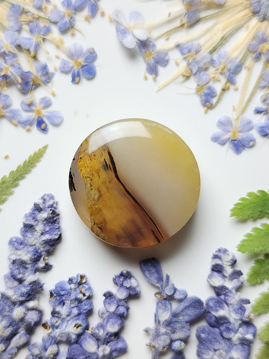 Montana agate