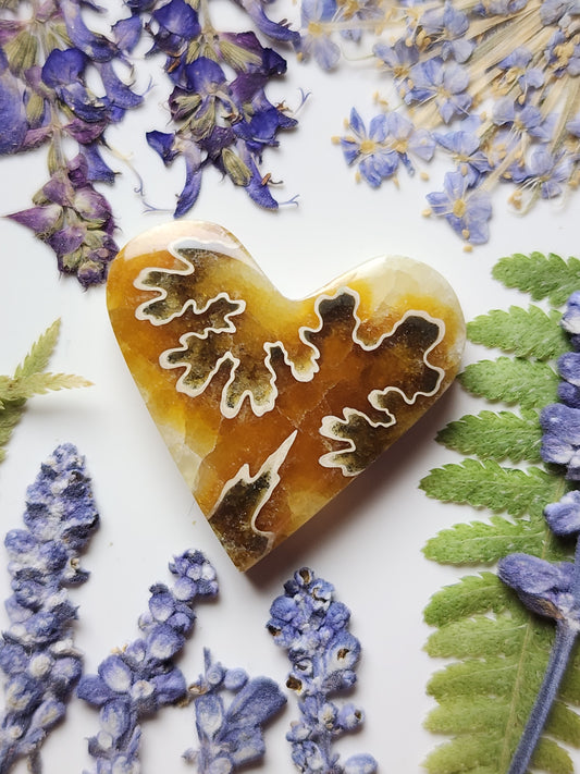 Suture Ammonite heart